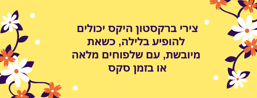 צירים מדומים