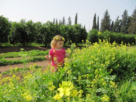 פעילויות לילדים בגונן